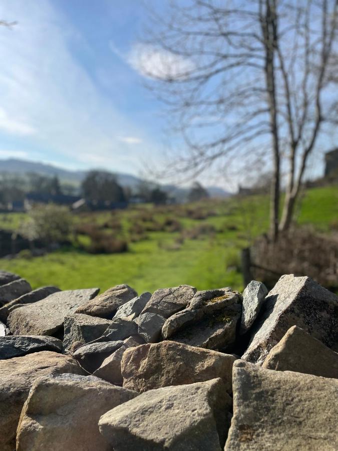 Trawsfynydd Stone Cottage Bagian luar foto