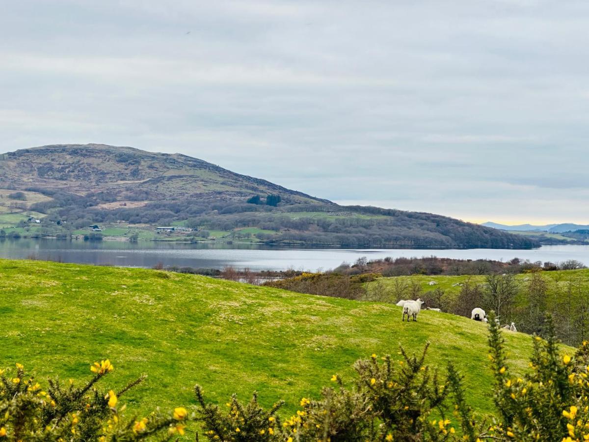 Trawsfynydd Stone Cottage Bagian luar foto